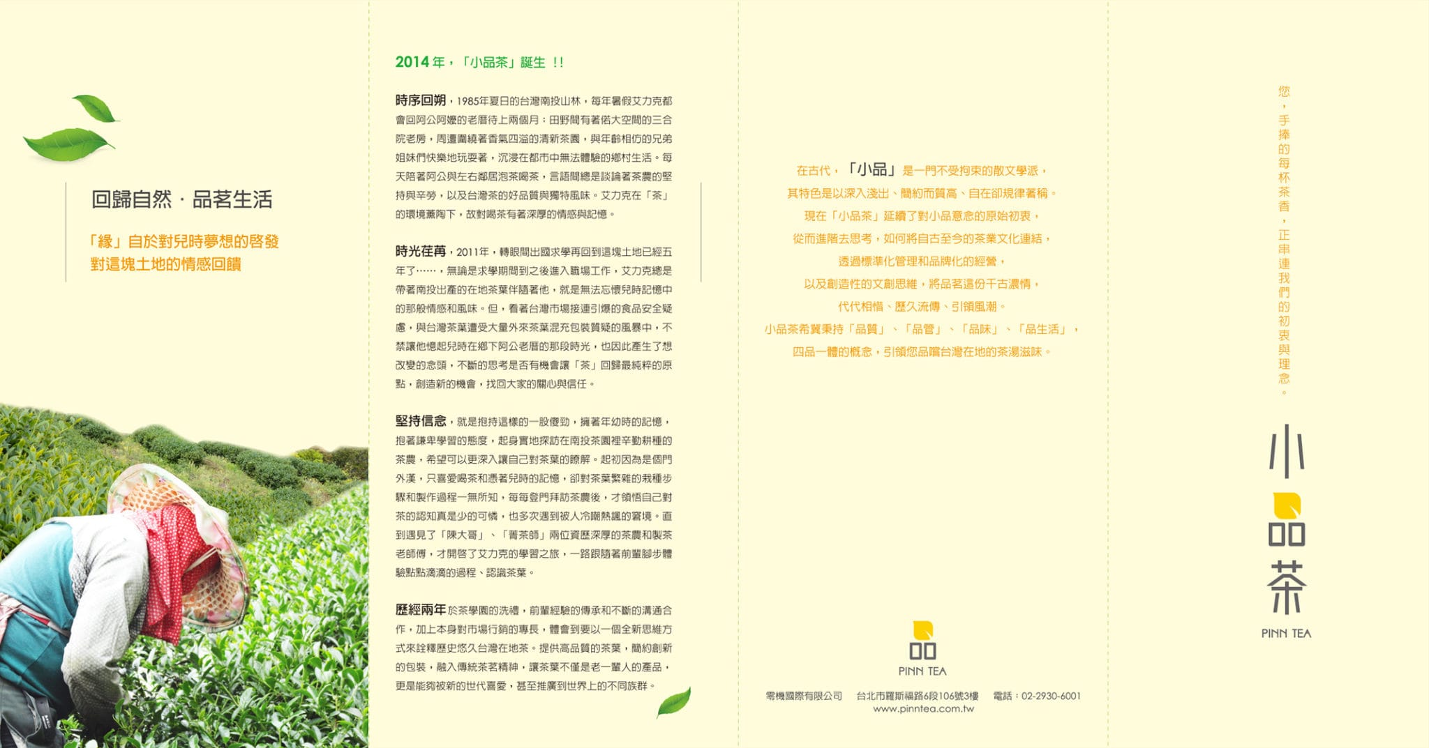 小品茶DM0613_ol