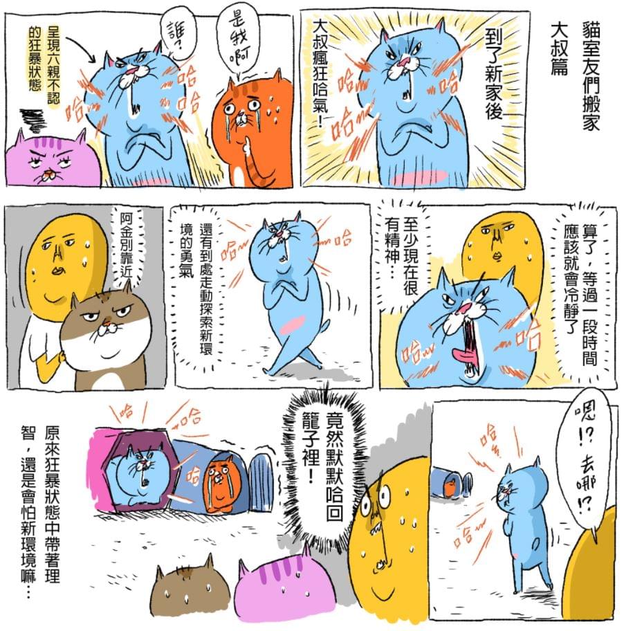 貓室友日常