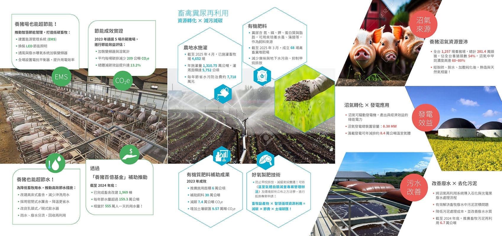 N字折DM設計背面07017